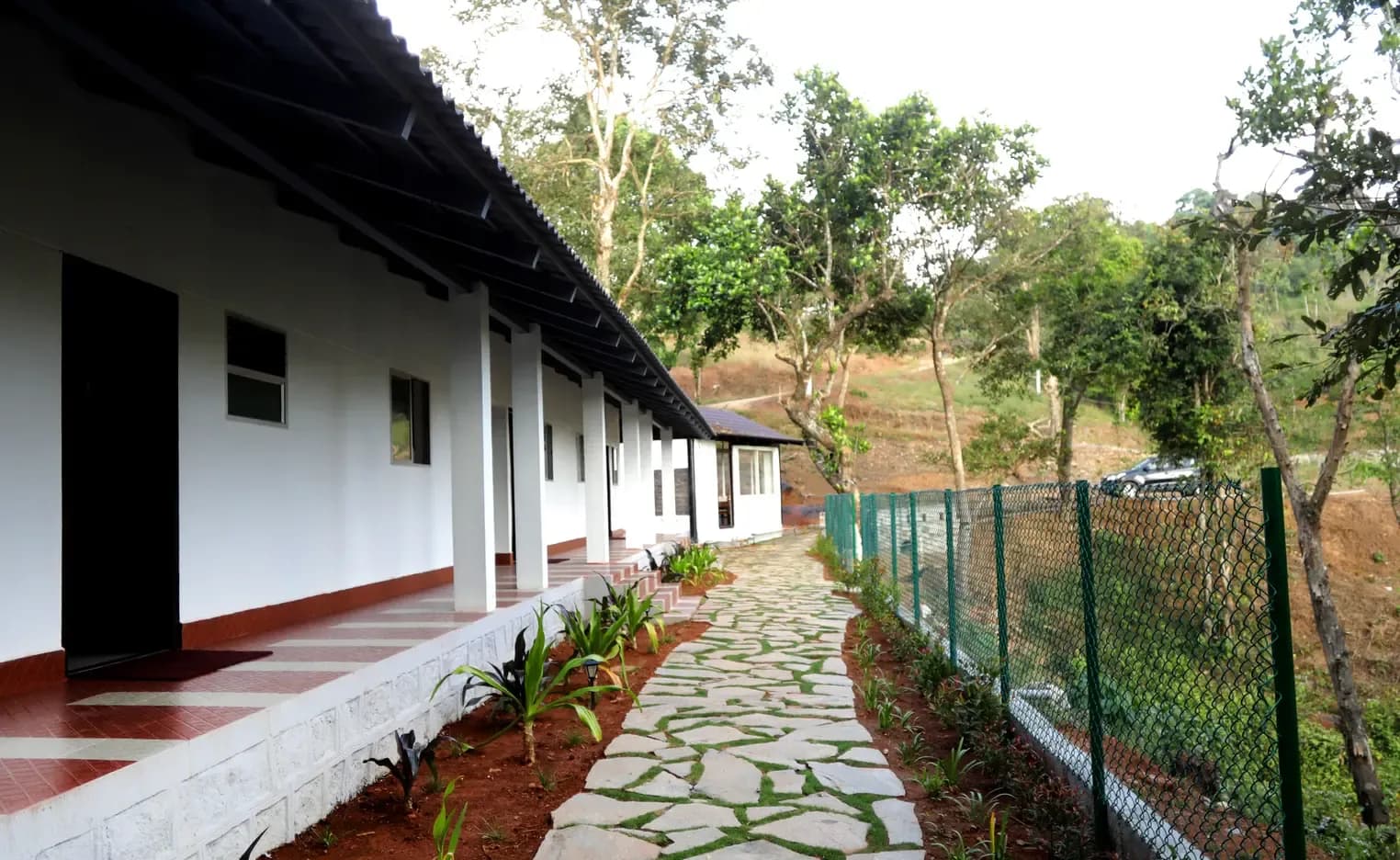 Sakleshpur vs Coorg vs Chikmagalur: Which Hill Escape to Pick?